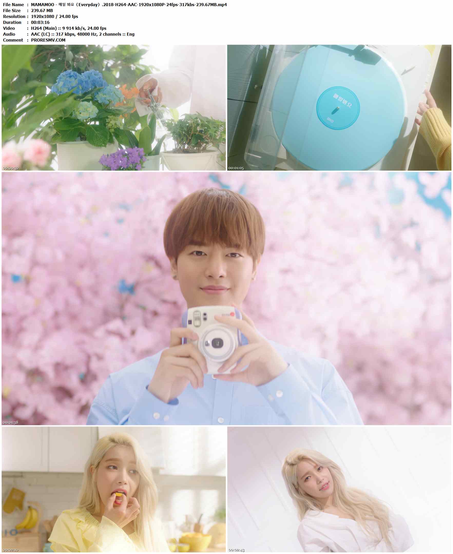 MAMAMOO - 매일 봐요（Everyday）.2018-H264-AAC-1920x1080P-24fps-317kbs-239.67MB官方MV_高清MV